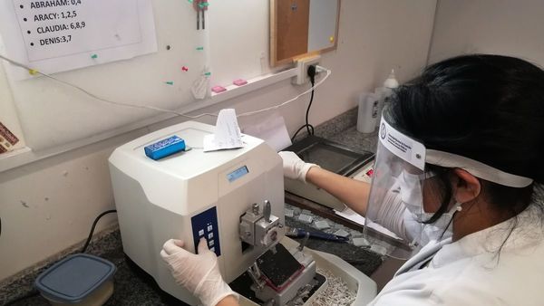 Taiwán hará fase 3 de  vacuna en el país