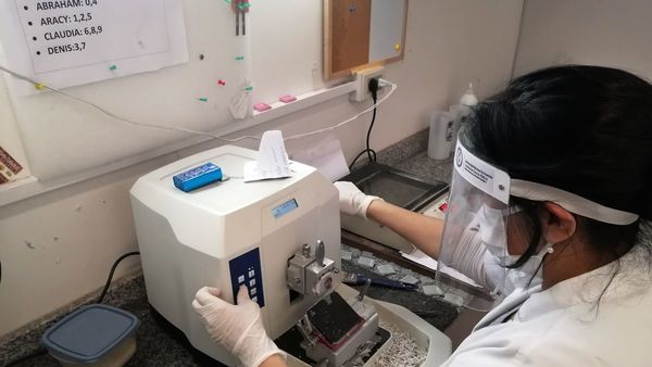 Taiwán hará fase 3 de vacuna en el país