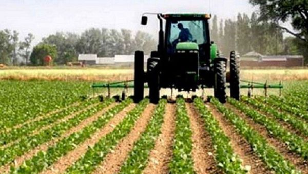 Exportaciones crecieron 27,7% de la mano del sector agropecuario