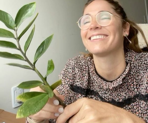 Los jardines verticales de Alexandra Kelly