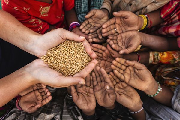 Hambre en el mundo se agravó por la crisis de la pandemia