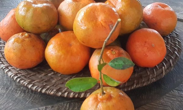 Circuito de las mandarinas como opción para el fin de semana