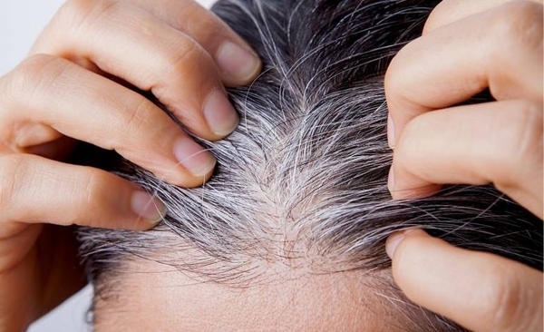 Diario HOY | El estrés hace que te salgan canas, pero el proceso se puede revertir