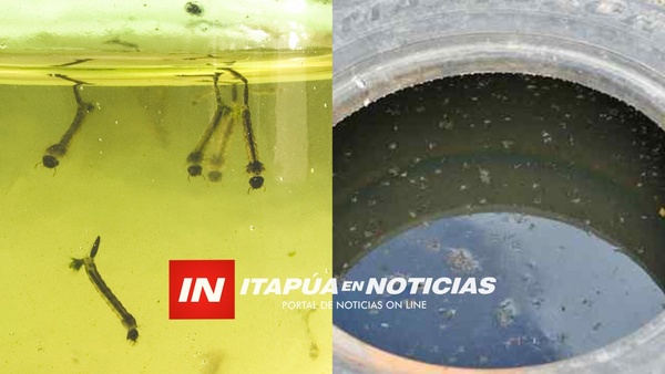 ALTO ÍNDICE LARVARIO EN ENCARNACIÓN PUEDE REFLOTAR DENGUE Y FIEBRE AMARILLA.