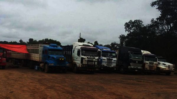 El éxito cárnico se expande al transporte de ganado