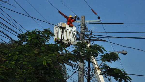 Viuda debe iniciar de cero juicio contra la ANDE por indemnización