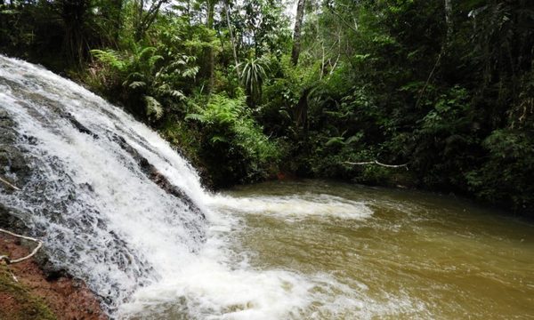 El santuario natural Yvyty Rokái cumple 13 años conservando la biodiversidad
