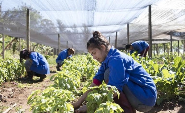 Diario HOY | Una escuela paraguaya es elegida como innovación impactante de América Latina