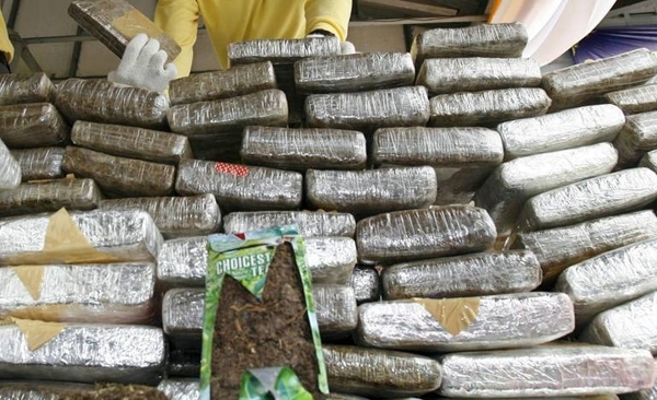 Diario HOY | Brasil decomisa récord de 36 toneladas de marihuana en frontera con Paraguay