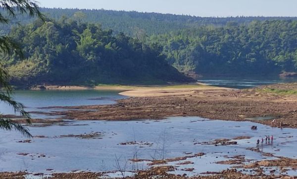 Bajante del río Paraná deja a isla Parejha fuera del agua - Interior - ABC Color