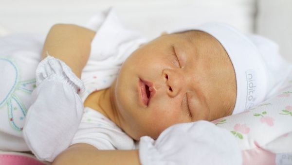 Nidito: una firma que provee por mes entre 3.000 a 4.000 accesorios para bebés