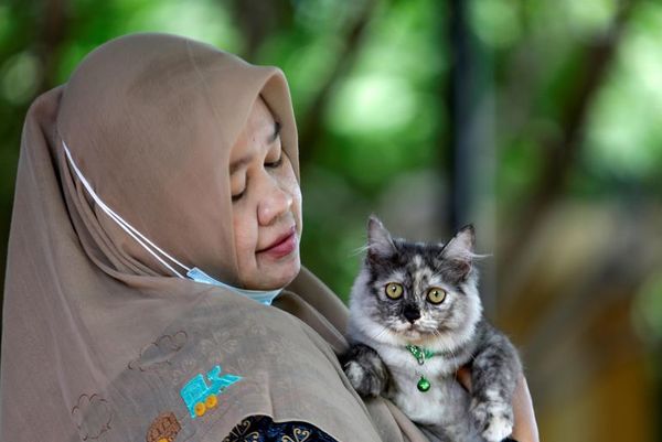 Campaña de vacunación a mascotas en Aceh - Mascotas - ABC Color