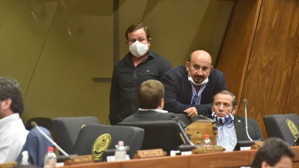 Advierten que dejar la vida en manos de nuestros jueces es muy peligroso