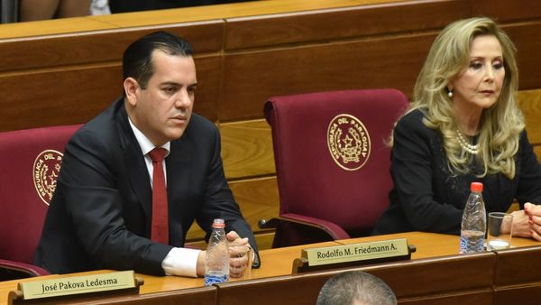 Alerta en Senado ante blanqueo de Friedmann, Sixto y ZI