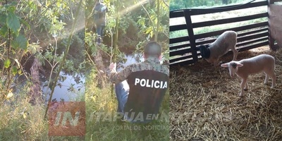 ANTIABIGEOS LOGRAN RECUPERAR UN ANIMAL EN OBLIGADO.