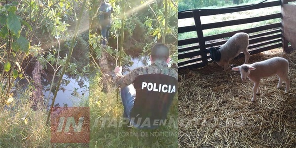 ANTIABIGEOS LOGRAN RECUPERAR UN ANIMAL EN OBLIGADO.