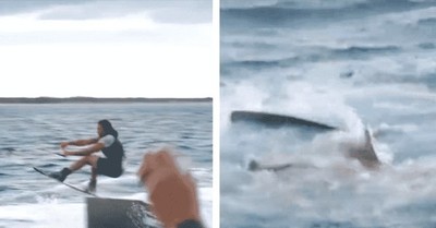 Integrante de “Jackass” sufre la mordedura de un tiburón durante una grabación: “No pensé que fuera a pasar” - C9N