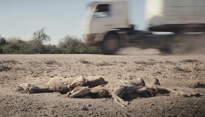 "Apenas el sol", la película paraguaya premiada en Turquía - Teleshow
