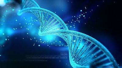 OMS emite primeras recomendaciones sobre la manipulación del genoma humano - Ciencia - ABC Color