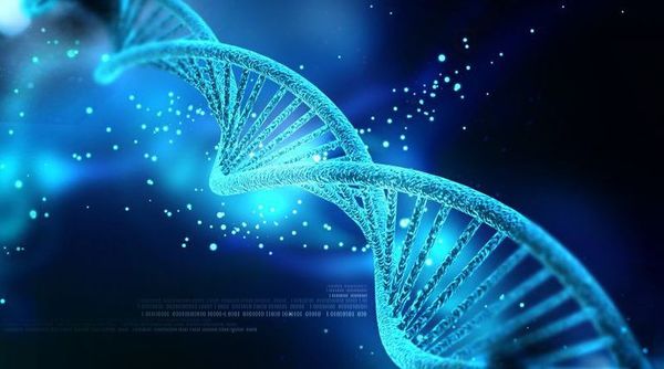 OMS emite primeras recomendaciones sobre la manipulación del genoma humano - Ciencia - ABC Color