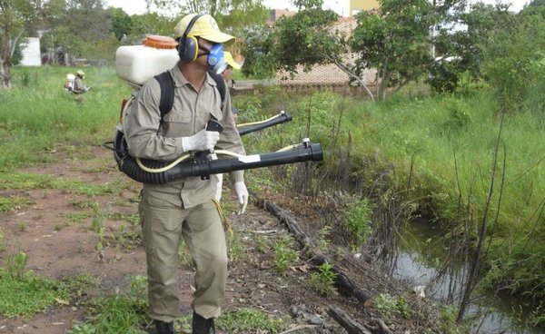 Disponen intervención del SENEPA por millonarias perdidas en insecticidas