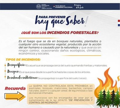 Prevenir incendios forestales es la consigna, después de las grandes pérdidas del año pasado - Nacionales - ABC Color