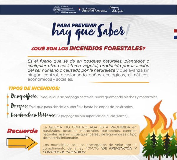 Prevenir incendios forestales es la consigna, después de las grandes pérdidas del año pasado - Nacionales - ABC Color