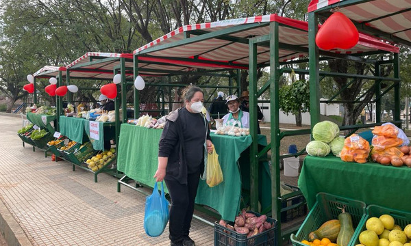 Productores feriantes reciben toldos en el marco del programa Municipios Seguros con Desarrollo Humano - OviedoPress