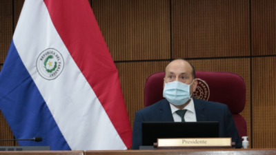 En "sesión de lavandina" senadores rechazan pedidos de pérdida de investidura 