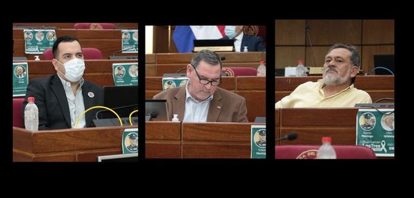 Senado blanquea a Zacarías Irún, Friedmann y Pereira   - Nacionales - ABC Color