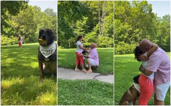 ¡Conmovedor! Perrito ayuda a su dueño a pedirle matrimonio a su novia