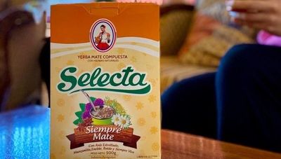 Hecho en Py: cuatro generaciones de una familia detrás de Selecta lleva yerba paraguaya a 35 países (y quiere elevarla a una categoría gourmet)