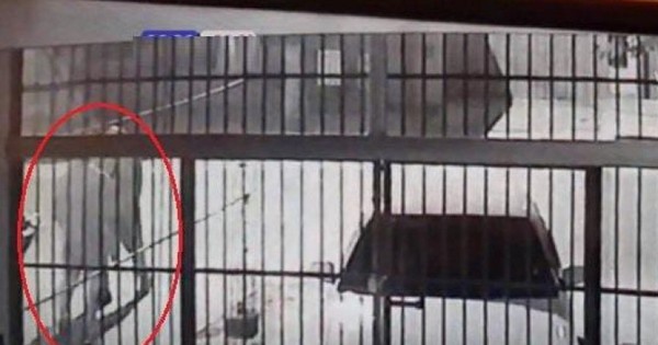 La Nación / Clan Rotela asesina a balazos a un joven