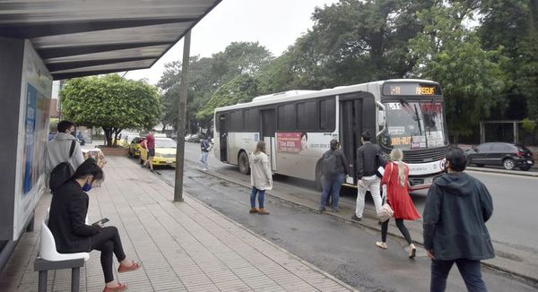 Subvención a transportistas crecerá aún más cuando incluyan ganancias - Nacionales - ABC Color