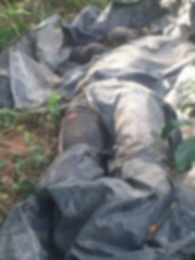 Hallan cadáver en un patio baldío de Puerto Pabla | Ñanduti