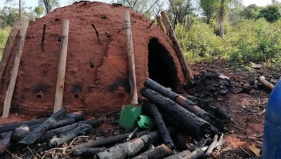 Diario HOY | Invasión de propiedad privada con reforestación pone en riesgo las inversiones