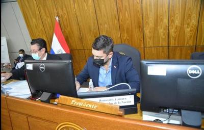 Diputados aprueban proyecto de “Feriado Nacional” para inmunización masiva