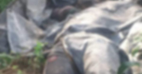 La Nación / Cuerpo de joven desaparecido hace un mes fue hallado en patio baldío de Puerto Pabla