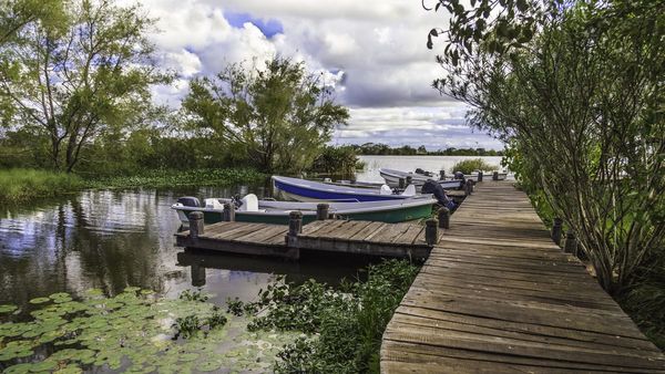 Corrientes al natural: Safari en los Esteros de Iberá