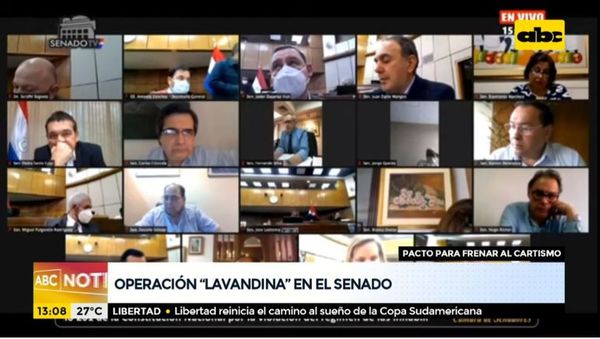 Operación lavandina en el Senado para frenar al cartismo - ABC Noticias - ABC Color