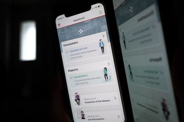 Sepa cómo evitar ser estafado tras postear certificado de vacunación - Nacionales - ABC Color