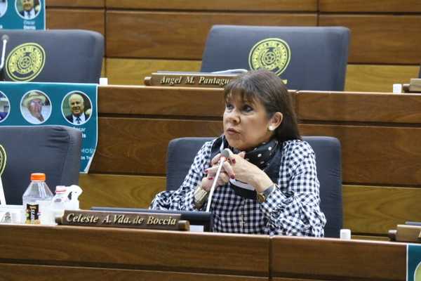 Diputada reclama despilfarro de fondos sociales de Itaipú