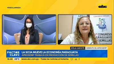 La soja mueve la economía paraguaya - Factor Clave - ABC Color