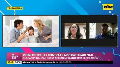 Proyecto de ley contra el arrebato parental - Ensiestados - ABC Color