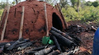 Madereros advierten  que inversiones están en riesgo