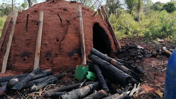 Madereros advierten que inversiones están en riesgo