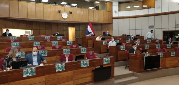 Senado trata hoy US$ 365 millones más para planes - Nacionales - ABC Color