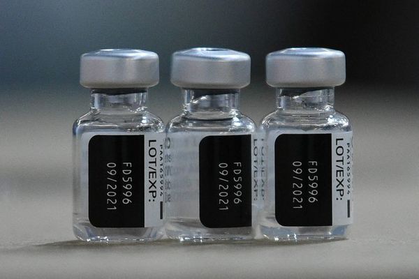 China planea reforzar sus vacunas con una dosis de Pfizer, según medios - Mundo - ABC Color