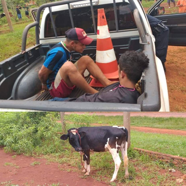 Presuntos abigeos fueron detenidos »in fraganti»