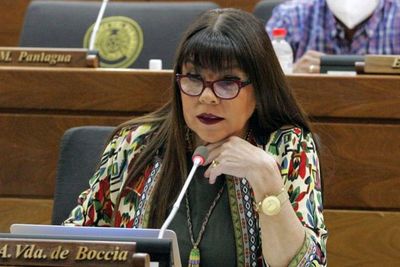 Para diputada es “indignante la lista de gastos” de la Itaipú | El Independiente